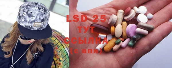 PSILOCYBIN Кулебаки