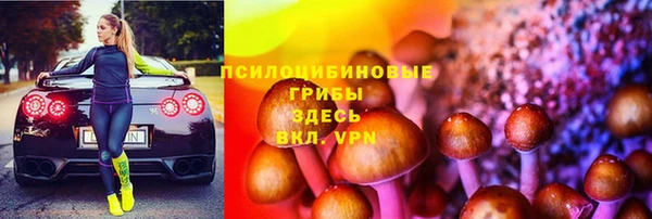 PSILOCYBIN Кулебаки