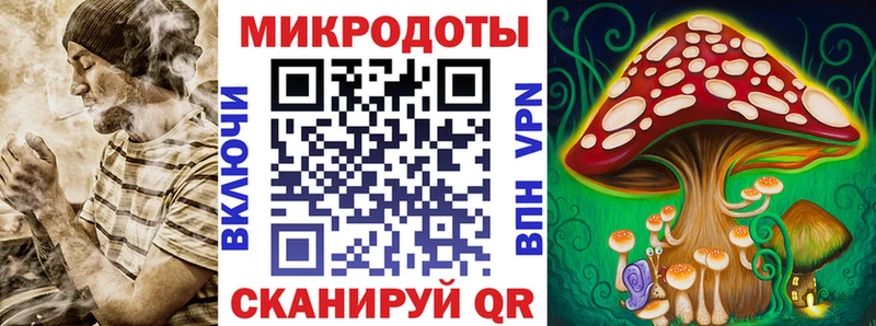 Купить закладки Короча Галлюциногенные грибы Psilocybine cubensis