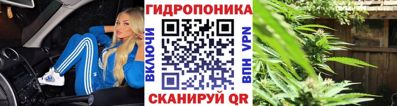 Каннабис Bruce Banner  Купить где  Короча 